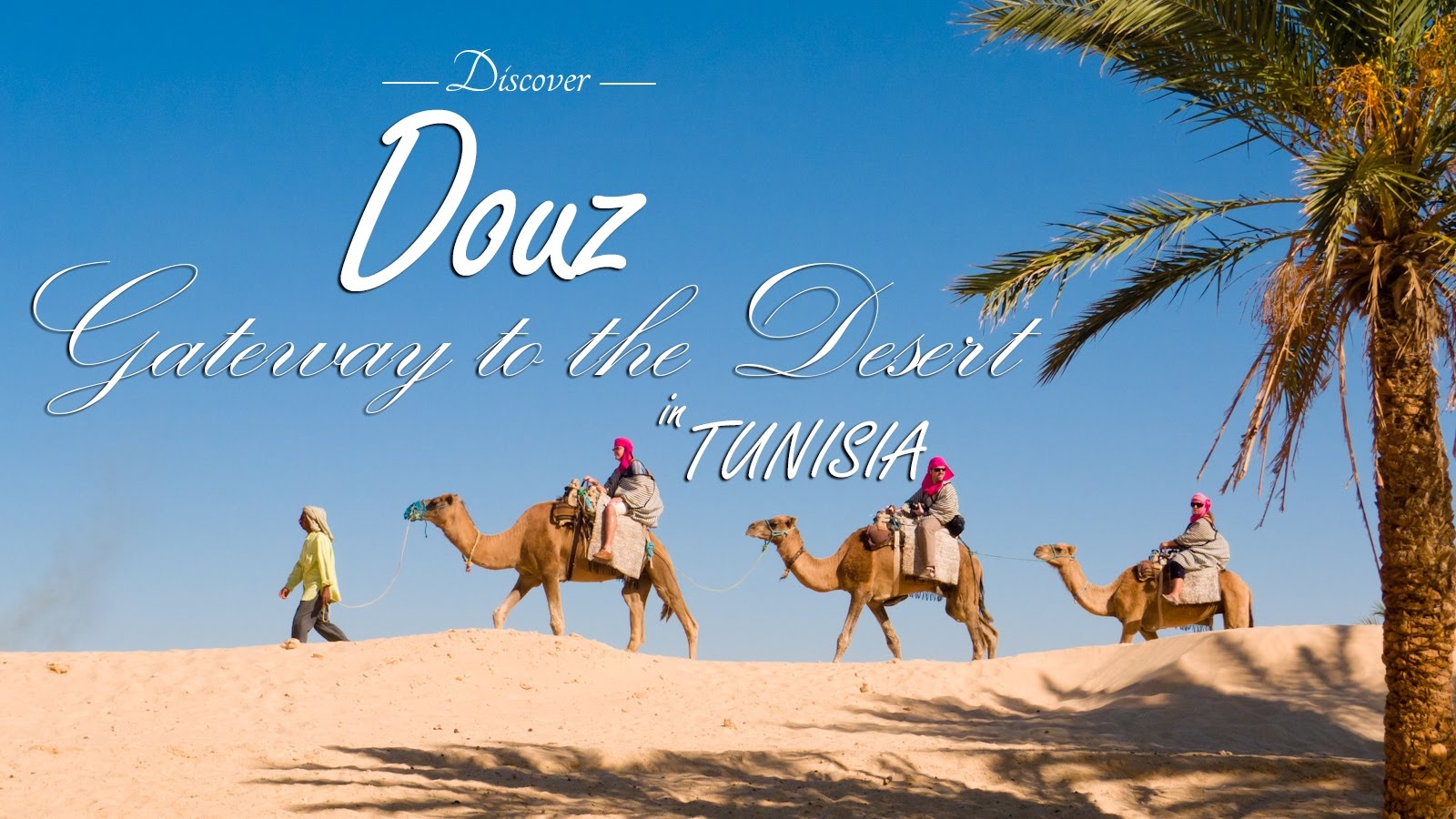 CIRCUIT SUD TUNISIEN et Djerba